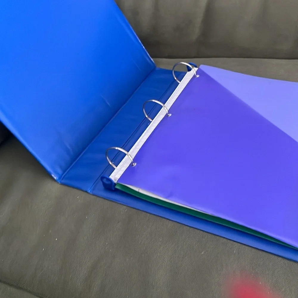 Blue and Purple File Organizer